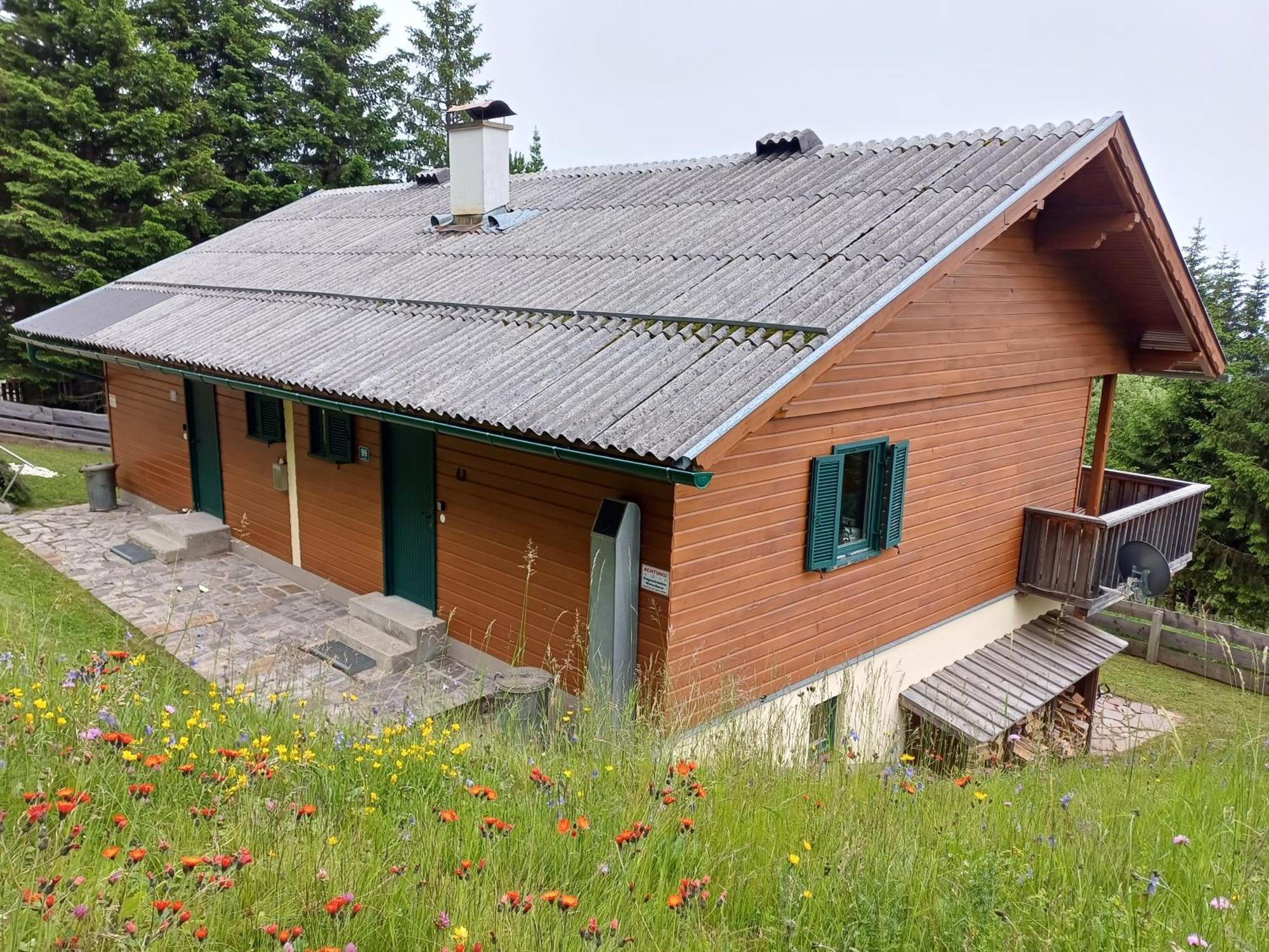 Ferienwohnung Almzeit Klippitz Klippitztorl Exterior foto